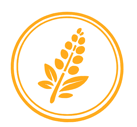 გლუტენი